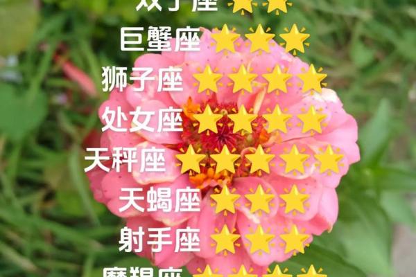 2025年3月29日白羊座今日运势第一星座网 2025年3月29日白羊座今日运势第一星座网