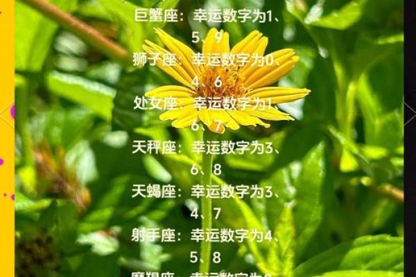 处女座明日运势大揭秘好运连连事业爱情双丰收