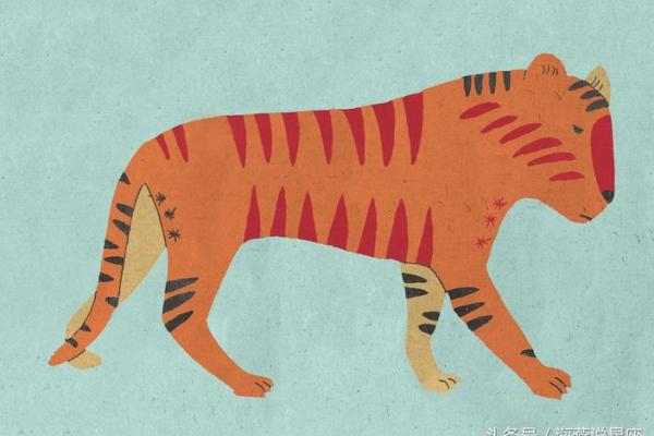 夜郎自大是什么生肖(夜郎自大是什么生肖查一下)