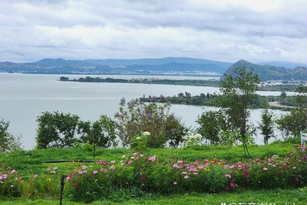 五湖四海打一生肖 五湖四海打一生肖