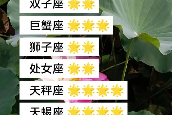 星座运势第一星座运势 星座运势第一星座运势查询