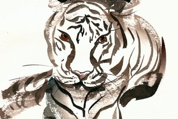 如见肺肝打一生肖(如见肺肝打一动物) 如见肺肝打一生肖(如见肺肝打一动物)