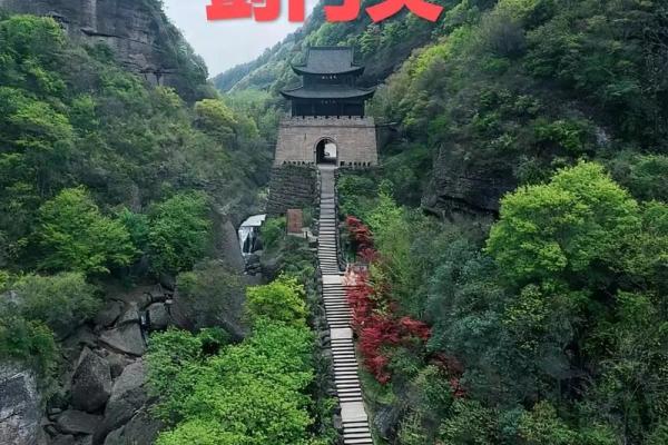 一夫当关开过什么生肖(一夫当关形容什么生肖动物) 一夫当关开过什么生肖(一夫当关形容什么生肖动物)