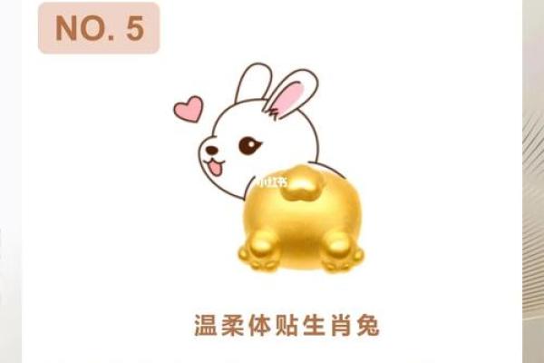 欲钱买媳妇是什么生肖 欲钱买媳妇是什么生肖