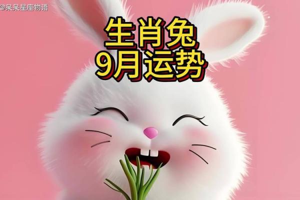 属兔的什么日子开业好 属兔的什么日子开业好