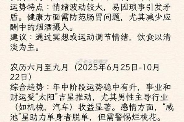 78年生肖马2025年运势全解析财运事业健康运程预测
