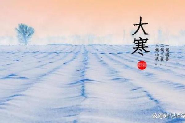 大寒节可修坟动土 大寒节可修坟动土