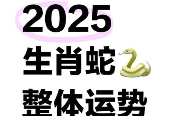 属猪人蛇年运势2025_2025蛇年属猪人运势详解全年逐月运程指南 属猪人蛇年运势2025_2025蛇年属猪人运势详解全年逐月运程指南