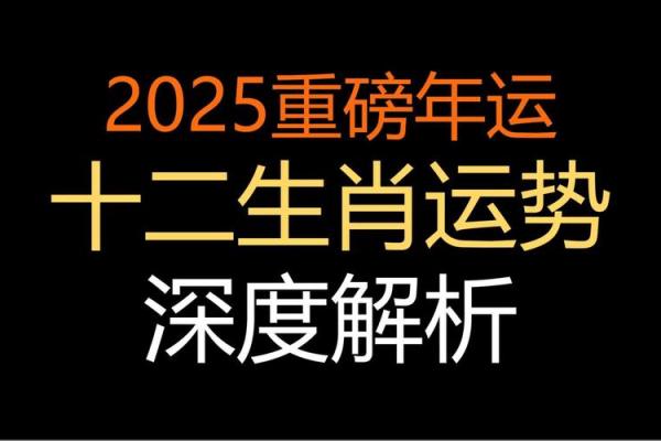 属猪人蛇年运势2025_2025蛇年属猪人运势详解全年逐月运程指南 属猪人蛇年运势2025_2025蛇年属猪人运势详解全年逐月运程指南