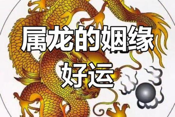 属龙今年的运势 属龙今年桃花运势如何 属龙今年的运势 属龙今年桃花运势如何