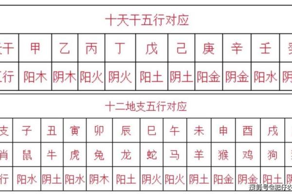 2012年农历龙年五行解析属龙者水命运势揭秘 2012年农历龙年五行解析属龙者水命运势揭秘
