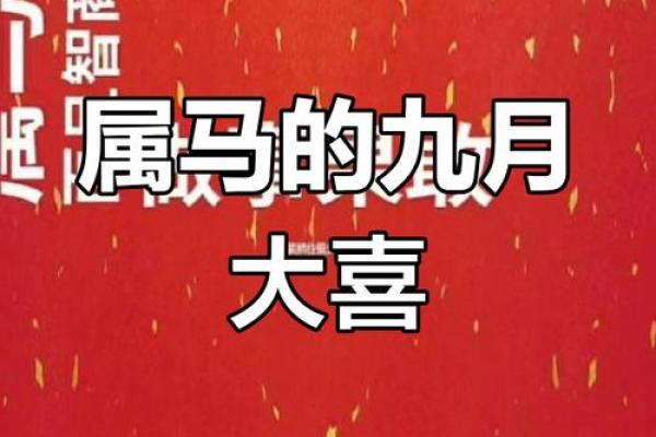 今日属马人的财运_属马人今日财运神巴巴