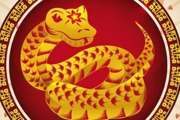 1953年属蛇人的寿命_1953年属蛇人寿命解析出生月份关联健康趋势 1953年属蛇人的寿命_1953年属蛇人寿命解析出生月份关联健康趋势