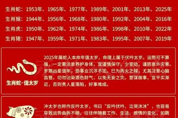属蛇人2025年运势 2025年属蛇人全年运势详解每月运程大揭秘 属蛇人2025年运势 2025年属蛇人全年运势详解每月运程大揭秘