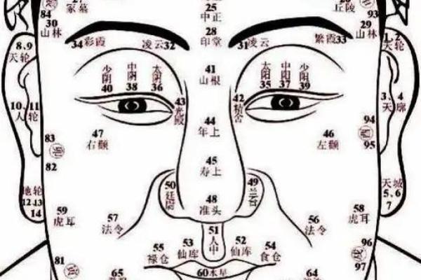 坟地周围动土有何讲究(坟地周围的吉凶) 坟地周围动土有何讲究(坟地周围的吉凶)