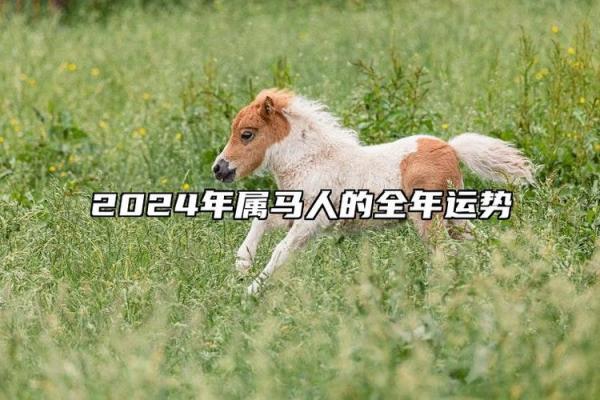 属马的今年的运势和财运_2024甲辰年属马运势全解析逐月财运走势大揭秘 属马的今年的运势和财运_2024甲辰年属马运势全解析逐月财运走势大揭秘