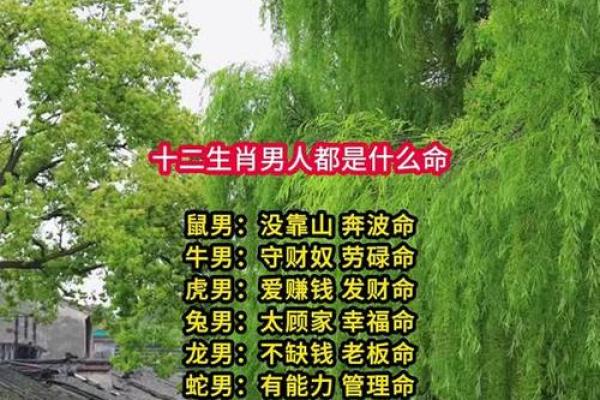 雄才盖世是什么生肖(雄才盖世是什么生肖劲物) 雄才盖世是什么生肖(雄才盖世是什么生肖劲物)