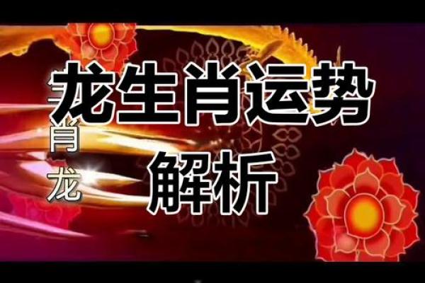 属龙2025本命年运势及运程详解 2025属龙本命年运势全解析全年逐月运程指南