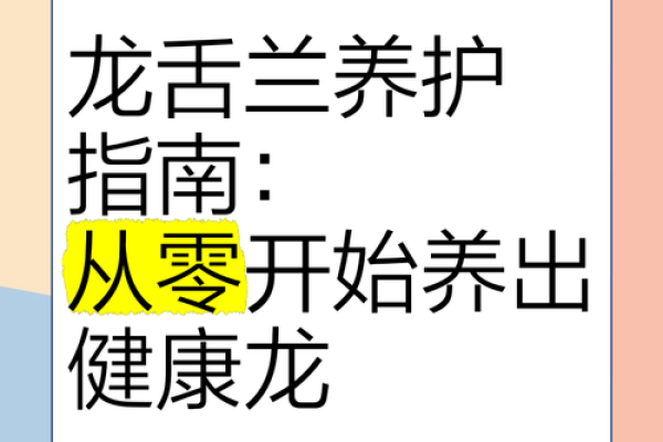 1952年属龙者2023全年健康运程解析与养护指南 1952年属龙者2023全年健康运程解析与养护指南
