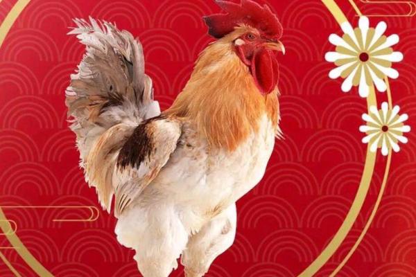 崭露头角是什么生肖(崭露头角是什么生肖最准) 崭露头角是什么生肖(崭露头角是什么生肖最准)