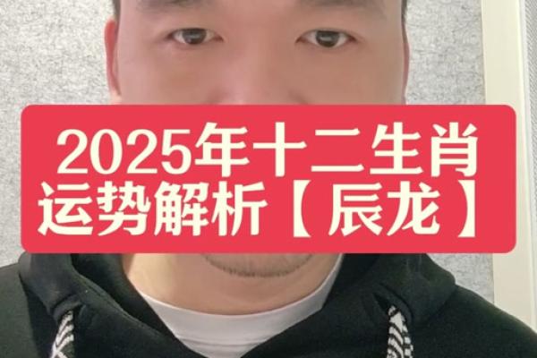 属龙2025年的运势_属龙2025年的运势及运程每月运气如何