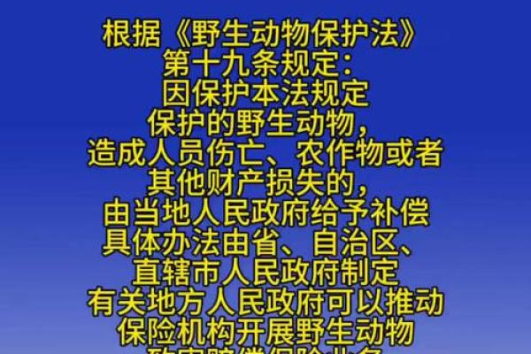先锋保国卫家园是什么生肖(山林无虎是老大先锋保国卫家园是什么生肖)