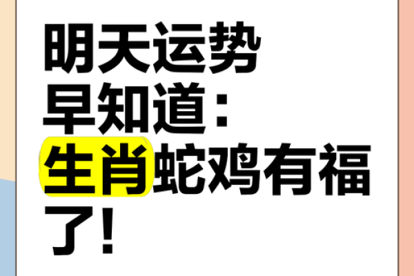 属鸡人2025年蛇年全年运势 2025蛇年属鸡人全年运程详解月度运势完整指南
