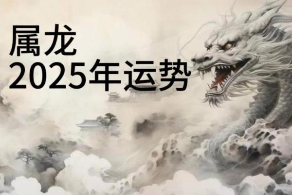 2025属龙的人运势_2025属龙人运势及运程