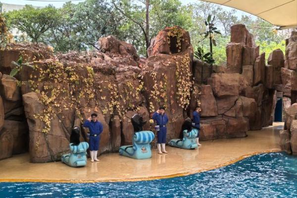 天上人间是什么生肖(天上人间是什么生肖) 天上人间是什么生肖(天上人间是什么生肖)