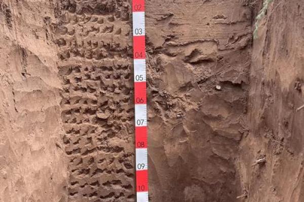 初一十五能动土吗 初一十五能动土吗