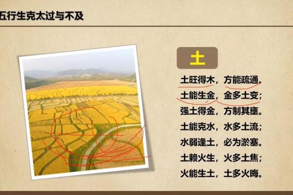 初一十五能动土吗 初一十五能动土吗