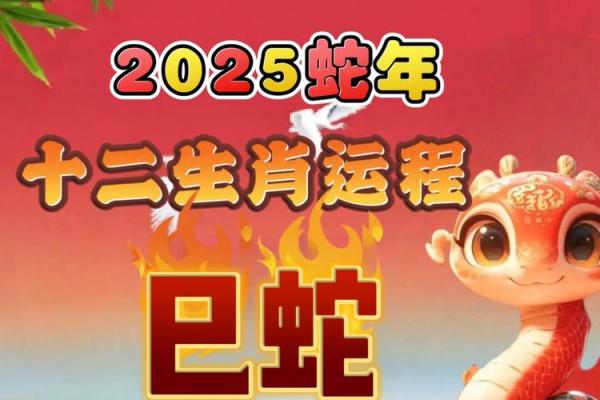 2025年生肖蛇运势_2025蛇年运势全解析生肖蛇逐月运程指南 2025年生肖蛇运势_2025蛇年运势全解析生肖蛇逐月运程指南
