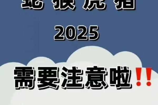 后院起火是什么生肖(后院起火是什么生肖动物)
