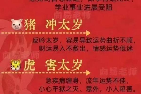 2024年金牛座感情运势解析爱情甜蜜还是波折不断 2024年金牛座感情运势解析爱情甜蜜还是波折不断