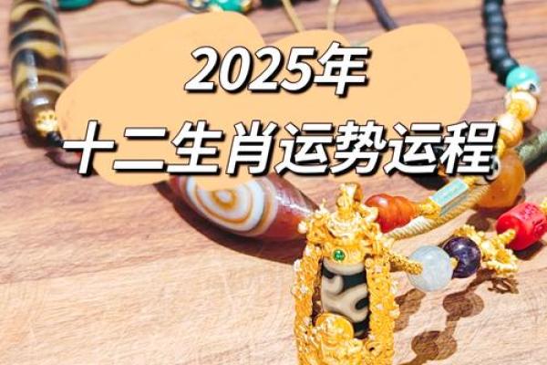 属马的人2025年的运势及运程_2025属马人运势详解全年运程财运健康全解析