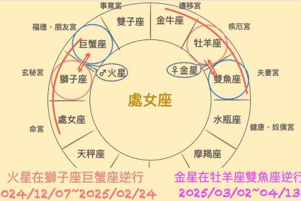 2025年星座运势处女座 处女座运势2023年全年运势 2025年星座运势处女座 处女座运势2023年全年运势