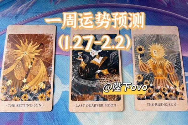 星运猫星座运势2023年最新运势解析与预测 星运猫星座运势2023年最新运势解析与预测