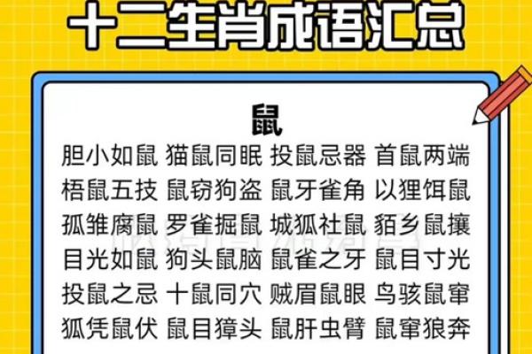 蹊田夺牛是什么生肖(蹊田夺牛是什么生肖和动物)