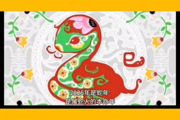 2025年属蛇人全年运势_2025年属蛇人全年运势大全 2025年属蛇人全年运势_2025年属蛇人全年运势大全