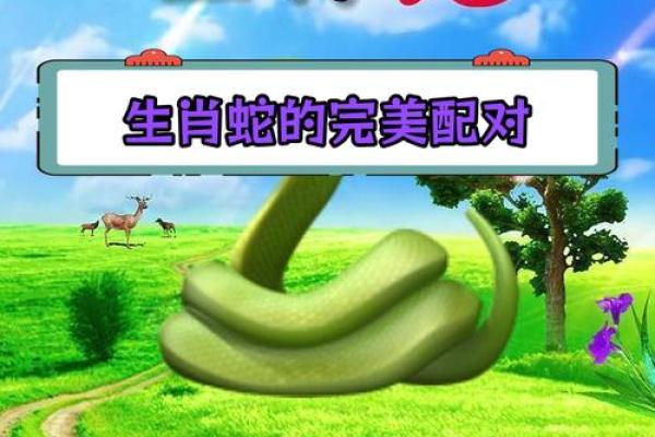 1965年属蛇的最佳配偶_1965年属蛇者农历七月婚配指南最佳配偶生肖解析 1965年属蛇的最佳配偶_1965年属蛇者农历七月婚配指南最佳配偶生肖解析