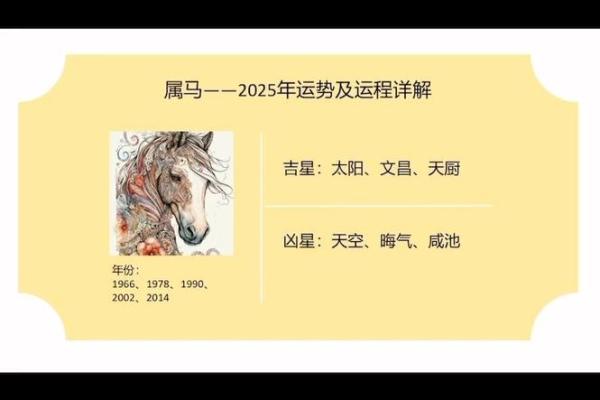 属马的在2025年运势_属马的在2025年运势怎么样