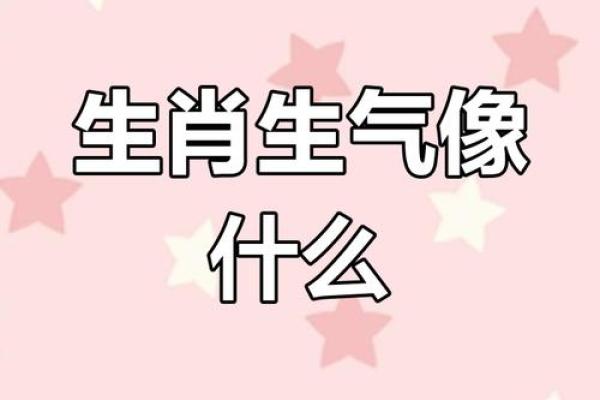 春光灿烂天气好是什么生肖(春光灿烂天气好是什么生肖答案) 春光灿烂天气好是什么生肖(春光灿烂天气好是什么生肖答案)