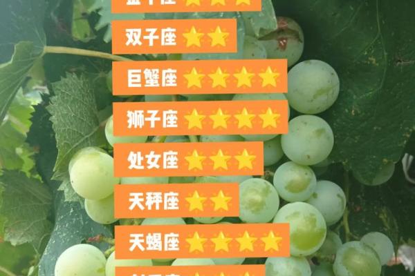 2025年3月27日处女座今日星座运势 2025年3月27日处女座今日星座运势