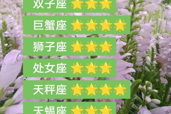 2025年3月28日白羊座今日第一星座运势 2025年3月28日白羊座今日第一星座运势