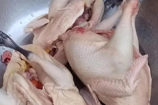 动土杀鸡 动土杀鸡