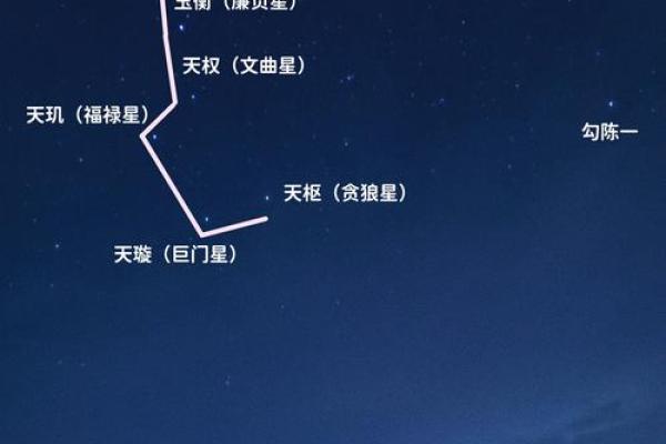 夜观天象是什么生肖(夜观天象是什么生肖打一肖) 夜观天象是什么生肖(夜观天象是什么生肖打一肖)
