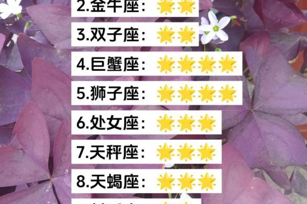 本周的星座运势_本周星座运势大揭秘12星座运势全解析