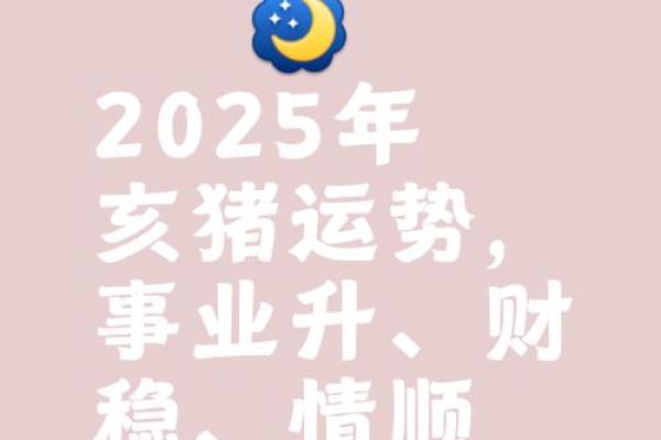 属猪男2025年的运势及运程_2025年属猪男运势详解全年运程大揭秘