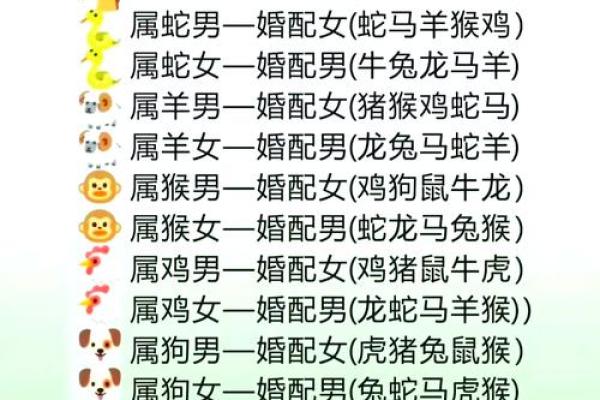 属龙和属马的婚姻相配吗生肖婚配解析与幸福建议 属龙和属马的婚姻相配吗生肖婚配解析与幸福建议