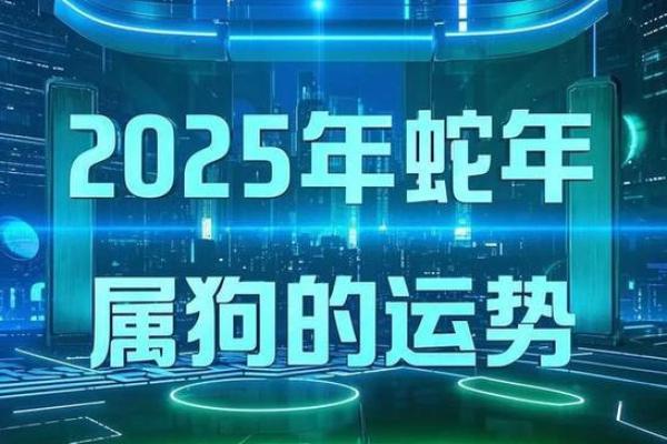 属狗人2025年的全年运势_属狗人2025年全年运势运程卜易居
